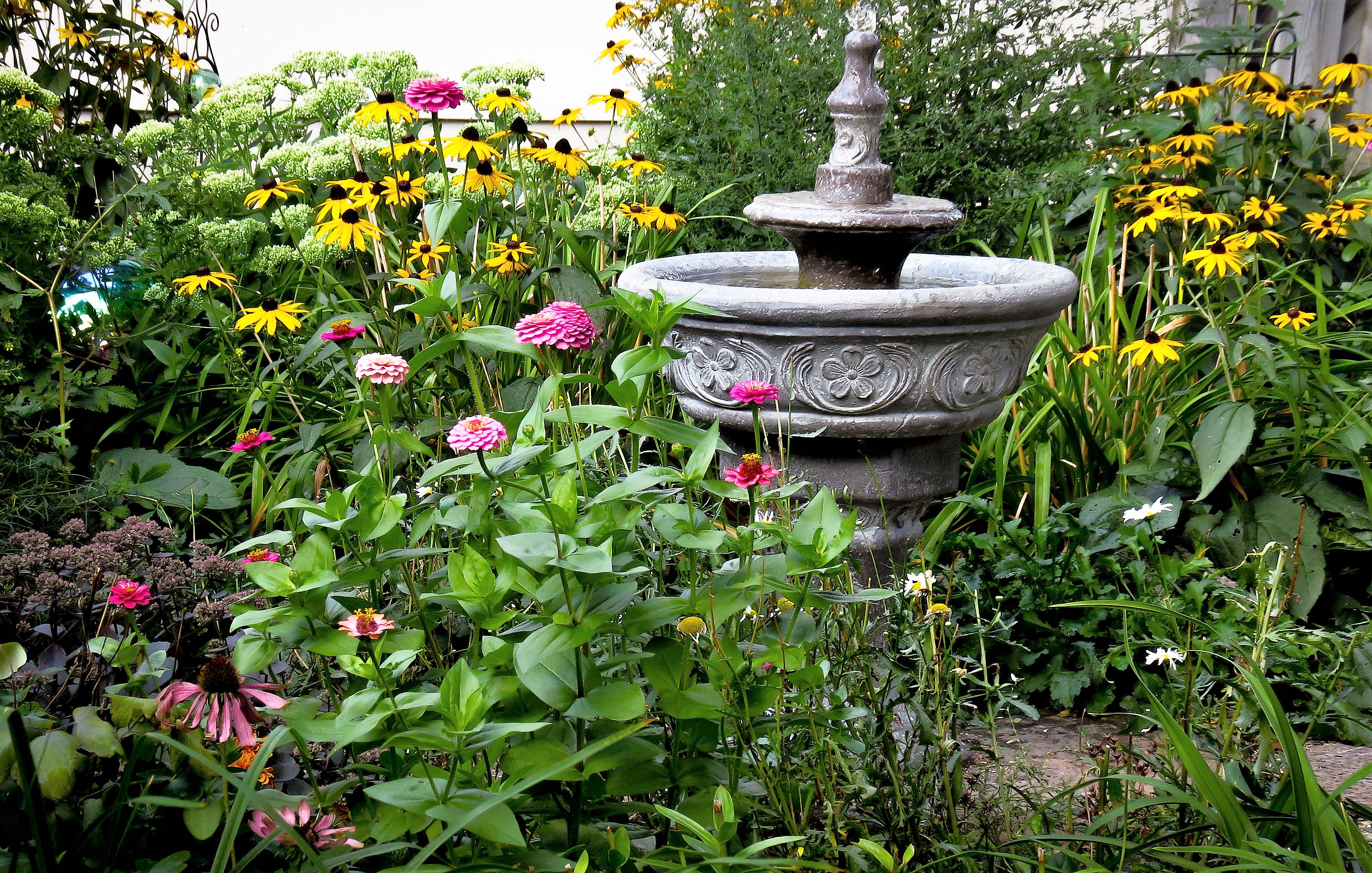 Photo of a garden for an article about weekend events in Plainfield.