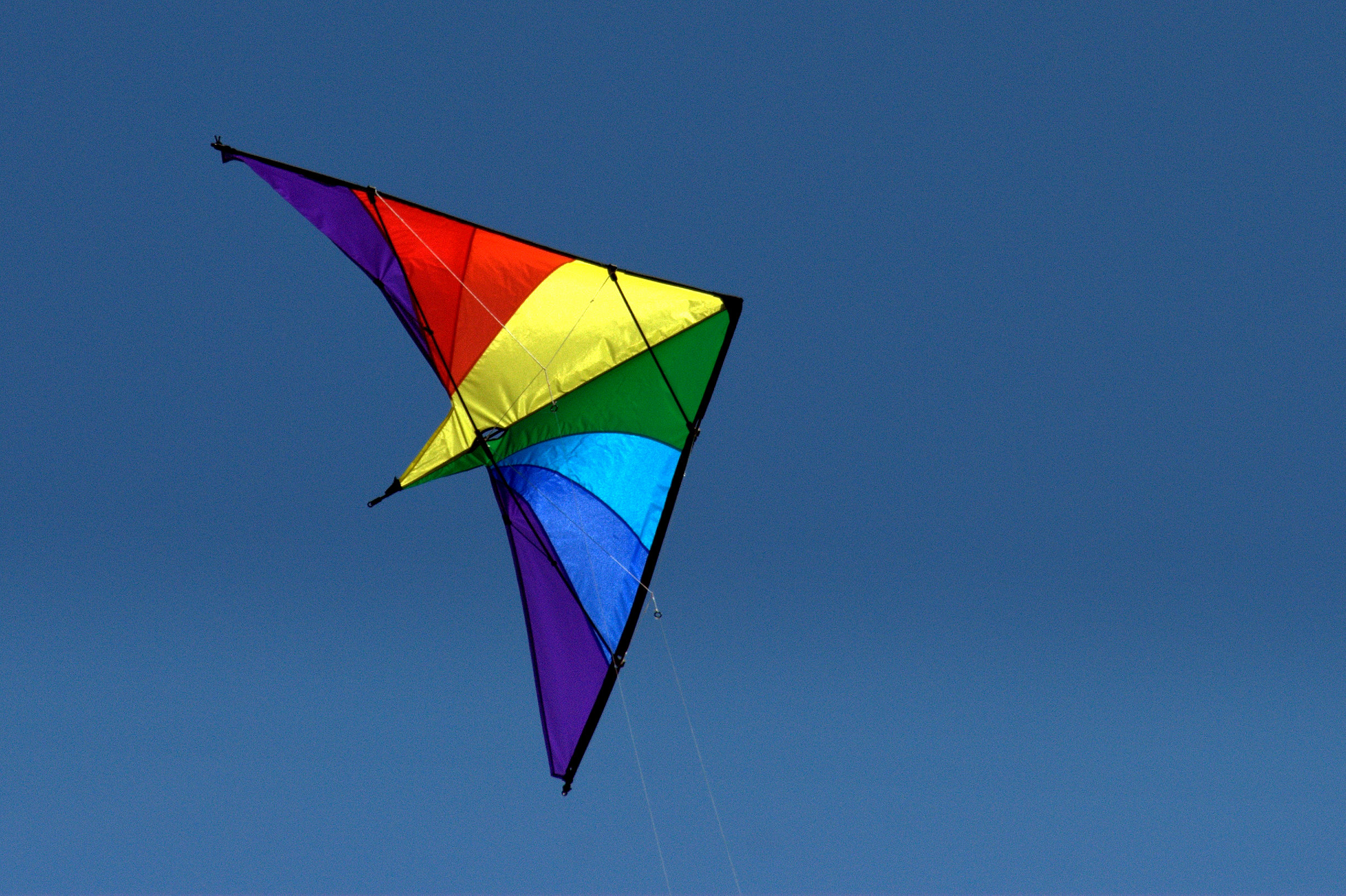 Photo of a kite flying for an article about the Shorewood Kite Fest.