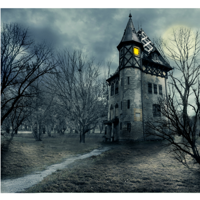 Local Haunted Houses Dawn Dause Group Blog