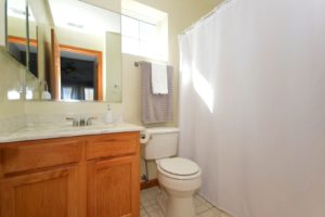 Master bathroom in 543 Springwood Drive Joliet.