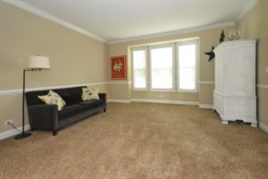 Light and airy living room of 25123 W Zoumar Drive Plainfield.