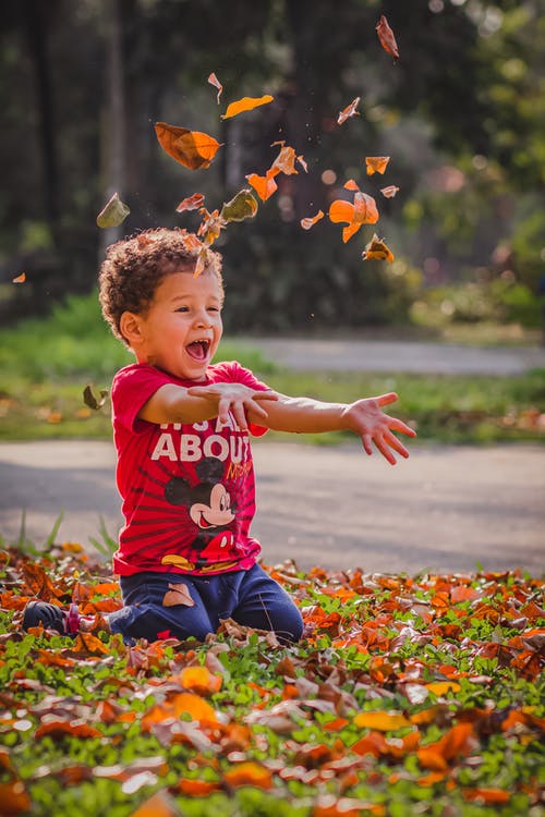 Boy playing in fall leaves; there are several fall events coming up including fall fest for kids.