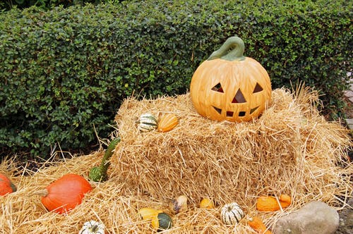 Pumpkin on a hay stack with several small pumpkins in a Halloween themed yard.