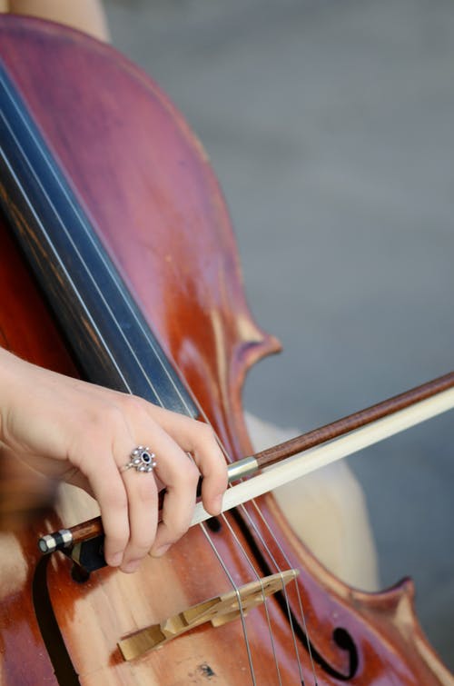 Close up shot of a cello; an orchestra concert is one of the December 2019 events scheduled.