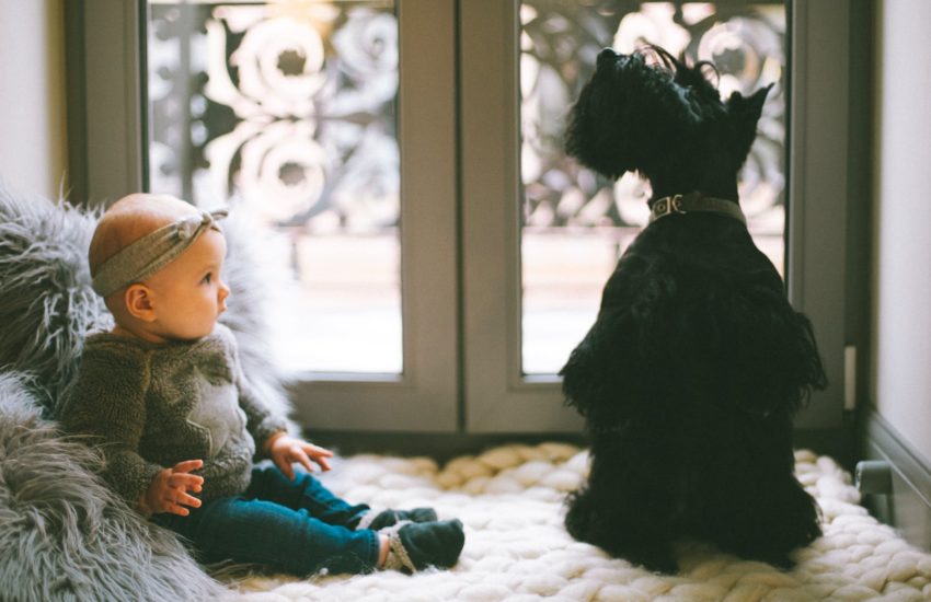 Baby sitting next to a Scottie in front of a window; playing with pets is just one example of kids activities at home.