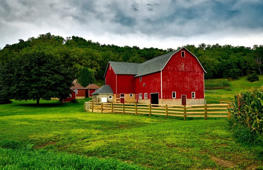 Farm with a red barn and rolling pasture, similar to local farms around Illinois.