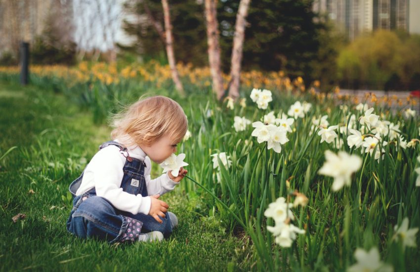 Small child smelling flowers in a garden similar to the Morton Arboretum.