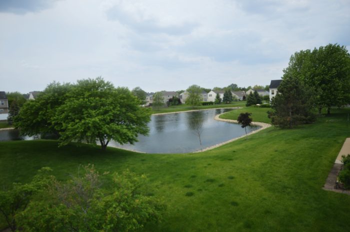 Pond at 5115 Edgewater in Plainfield.
