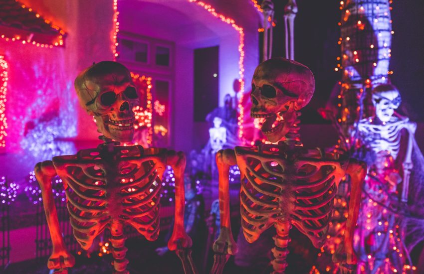 Two Skeletons talking at Haunted House