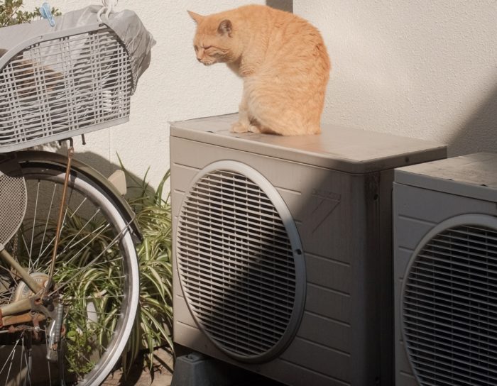 A cat is keeping it cool by sitting on top of the Air Conditioner