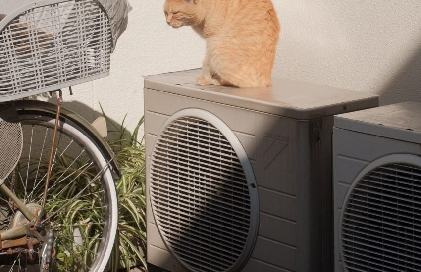 A cat is keeping it cool by sitting on top of the Air Conditioner